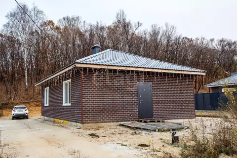 Дом в Амурская область, Благовещенский район, с. Чигири пер. Невский, ...