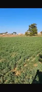 Участок в Крым, Красногвардейский район, с. Ленинское ул. Киевская ...