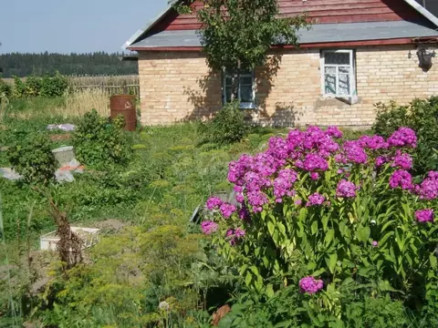 Участок в Ленинградская область, Волосовский район, Калитинское с/пос, ...