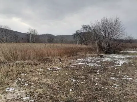 Участок в Приморский край, Шкотовский муниципальный округ, с. ...