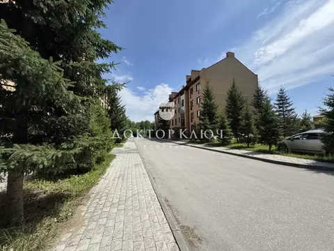 Помещение свободного назначения в Новосибирская область, Новосибирск ...