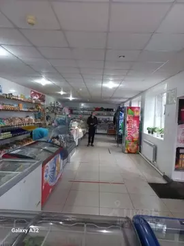 Торговая площадь в Омская область, Кормиловский район, с. Борки ...