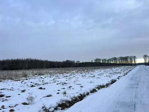 Участок в Московская область, Раменский муниципальный округ, Оттепель ...