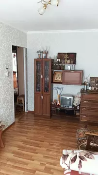 2-к кв. Нижегородская область, Бор муниципальный округ, с. Чистое Поле ...