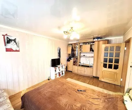 1-к кв. Тверская область, Тверь просп. Победы, 54 (31.2 м)