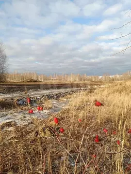 Участок в Тюменская область, Нижнетавдинский муниципальный округ, ...