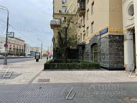 Помещение свободного назначения в Москва Кутузовский просп., 19 (49 м)