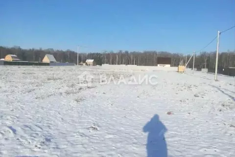 Участок в Нижегородская область, Воскресенский муниципальный округ, с. ...