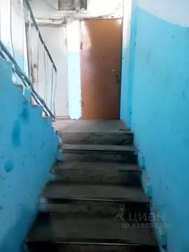 Студия Красноярский край, Красноярск Зеленая Роща мкр, ул. Быковского, ...