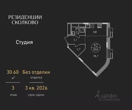 Студия Московская область, Одинцовский городской округ, Заречье пгт ...