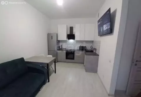 1-комнатная квартира: Мурино, Ручьёвский проспект, 17к1 (46 м)