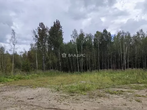 Участок в Калужская область, Калуга ул. Полесская (6.0 сот.)