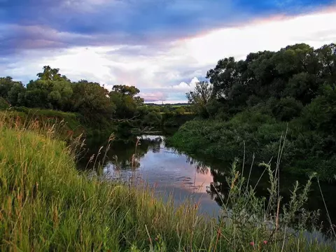 Участок в Московская область, Можайский муниципальный округ, с. ДНП ...