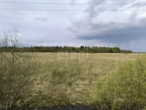 Участок в Ярославская область, Ярославский муниципальный округ, ...