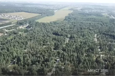 Участок в Свердловская область, Екатеринбург Кургановский дп,  (10.0 ...