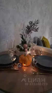 Студия Татарстан, Казань ул. Николая Ершова, 65Б/1 (35.0 м)