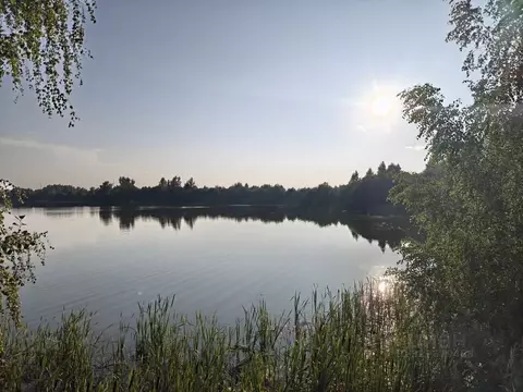 Участок в Московская область, Сергиево-Посадский городской округ, д. ...