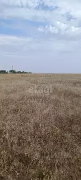 Участок в Крым, Сакский район, с. Штормовое ул. Виноградная (6.0 сот.)