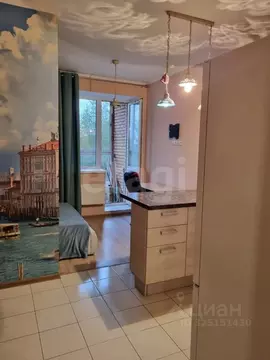 Студия Московская область, Люберцы городской округ, д. Мотяково 66к13 ...