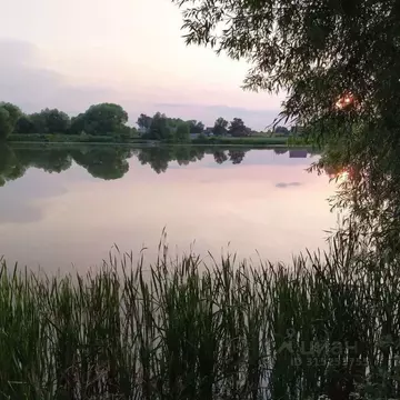 Участок в Рязанская область, Захаровский район, Добро-Пчельское с/пос, ...