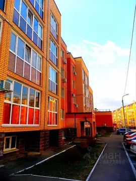 Студия Башкортостан, Уфимский район, с. Михайловка ул. Сливовая, 3 ...