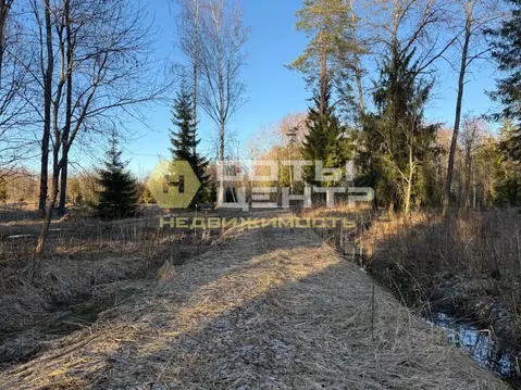 Участок в Тверская область, Зубцовский муниципальный округ, д. ...