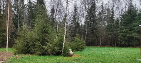 Участок в Московская область, Яхрома Дмитровский муниципальный округ, ...