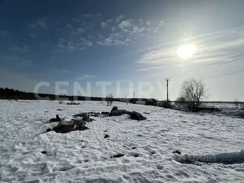 Участок в Ленинградская область, Отрадное Кировский район, пос. ...