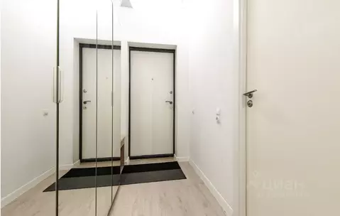 Студия Санкт-Петербург Пулковское ш., 14с6 (25.0 м)