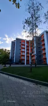 Студия Краснодарский край, Туапсинский муниципальный округ, Джубга пгт ...