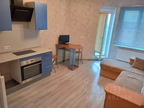 Студия Санкт-Петербург просп. Большевиков, 7к3 (24.0 м)