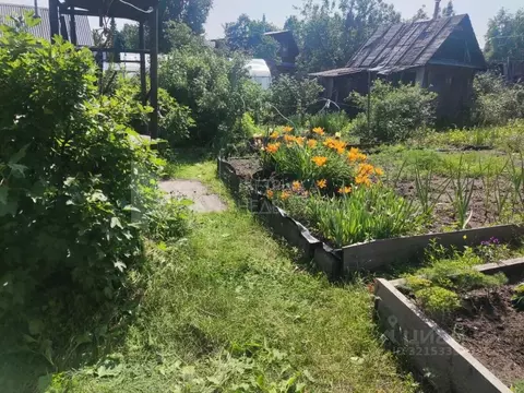 Дом в Тюменская область, Тюменский район, Солнечное садовое ...