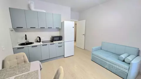 1-к кв. Санкт-Петербург Черниговская ул., 17 (42.0 м)