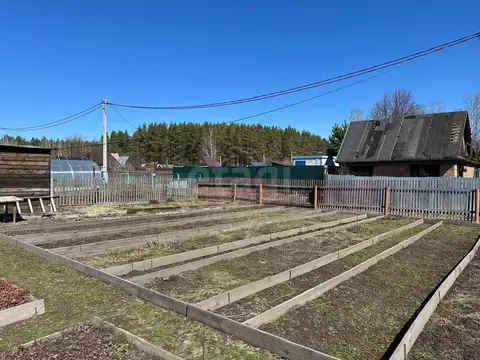 Участок в Новосибирская область, Новосибирск Олимпийское садовое ...