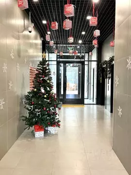 Студия Московская область, Красногорск городской округ, пос. ...