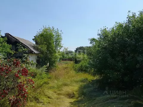 Участок в Саратовская область, Балашовский район, Пинеровское ...