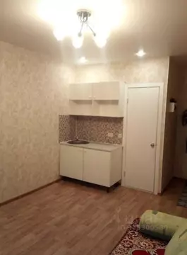 Студия Пермский край, Пермь Таборская ул., 20 (20.0 м)