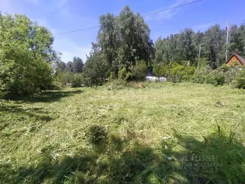 Участок в Алтай, Майминский район, пос. Рыбалка Дачная ул. (7.0 сот.)