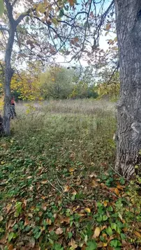 Участок в Ростовская область, Аксайский район, Истоминское с/пос, ...