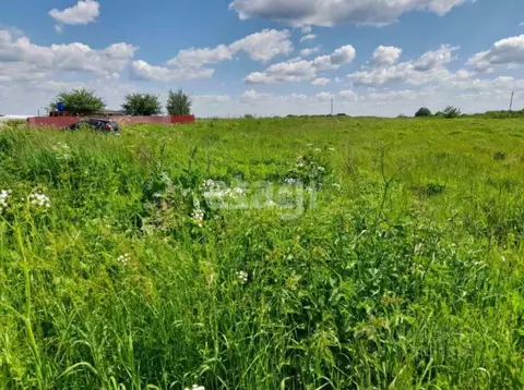 Участок в Брянская область, Брянский район, Чернетовское с/пос, д. ...
