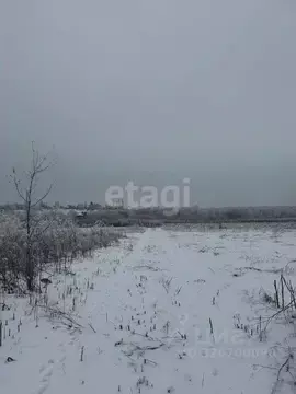 Участок в Воронежская область, Семилукский район, Девицкое с/пос, ...