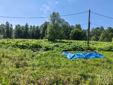 Участок в Ленинградская область, Выборгский район, пос. Поляны ул. ...