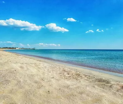 Участок в Крым, Сакский район, с. Штормовое  (6.0 сот.)