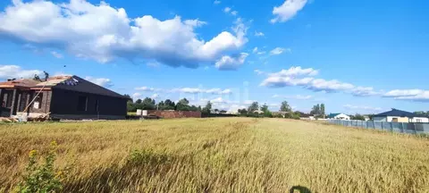 Участок в Воронежская область, Рамонский район, с. Новоживотинное ...