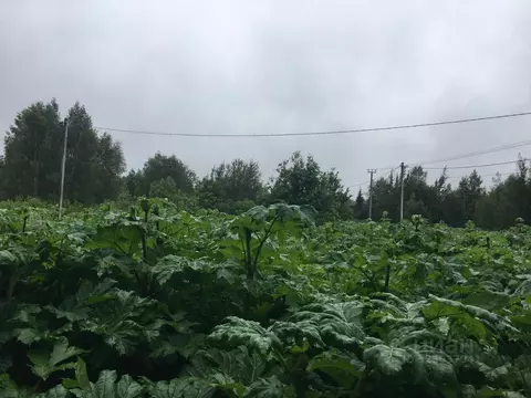 Участок в Московская область, Пушкинский городской округ, с. Путилово  ...