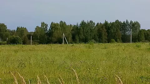 Участок в Московская область, Можайский муниципальный округ, д. ...