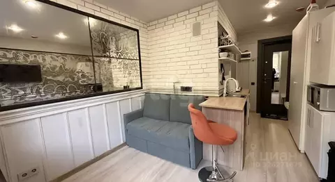 Студия Московская область, Ивантеевка Пушкинский городской округ, ...