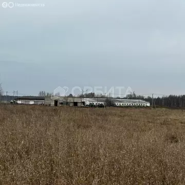 Участок в Тюменский муниципальный округ, село Щербак (9383 м)