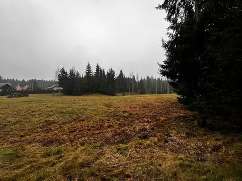 Участок в Ленинградская область, Всеволожский район, Агалатовское ...