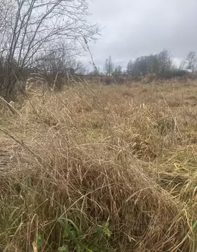 Участок в Ленинградская область, Тосненское городское поселение, д. ...